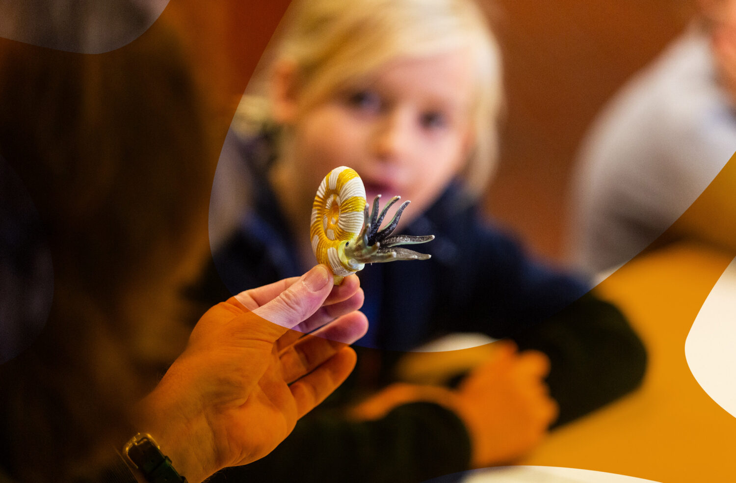 Kindergeburtstage im Museum am Schölerberg Osnabrück