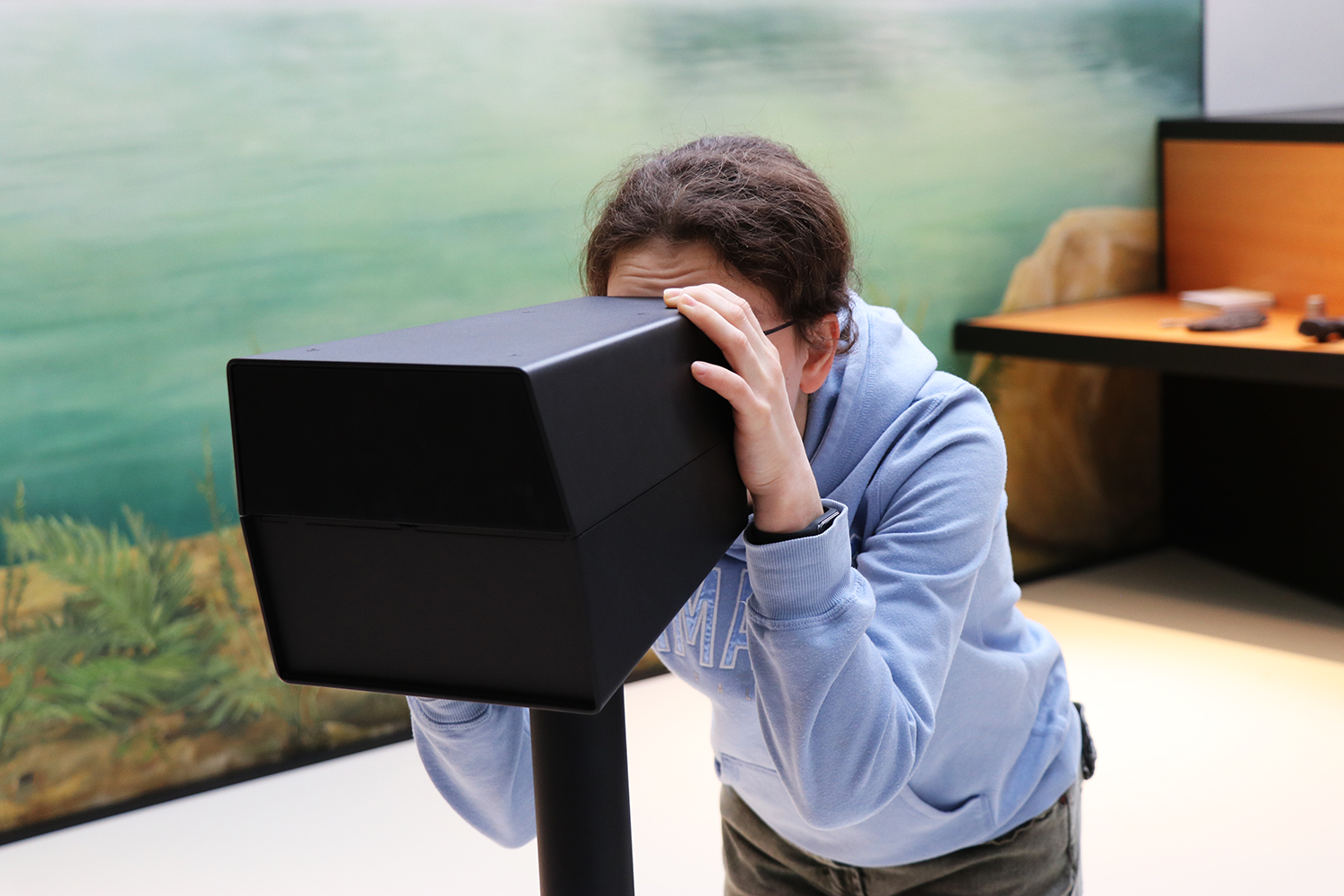 Schülerin erkundet mit Augmented Reality die Tierwelt im Karbonwald © Museum am Schölerberg