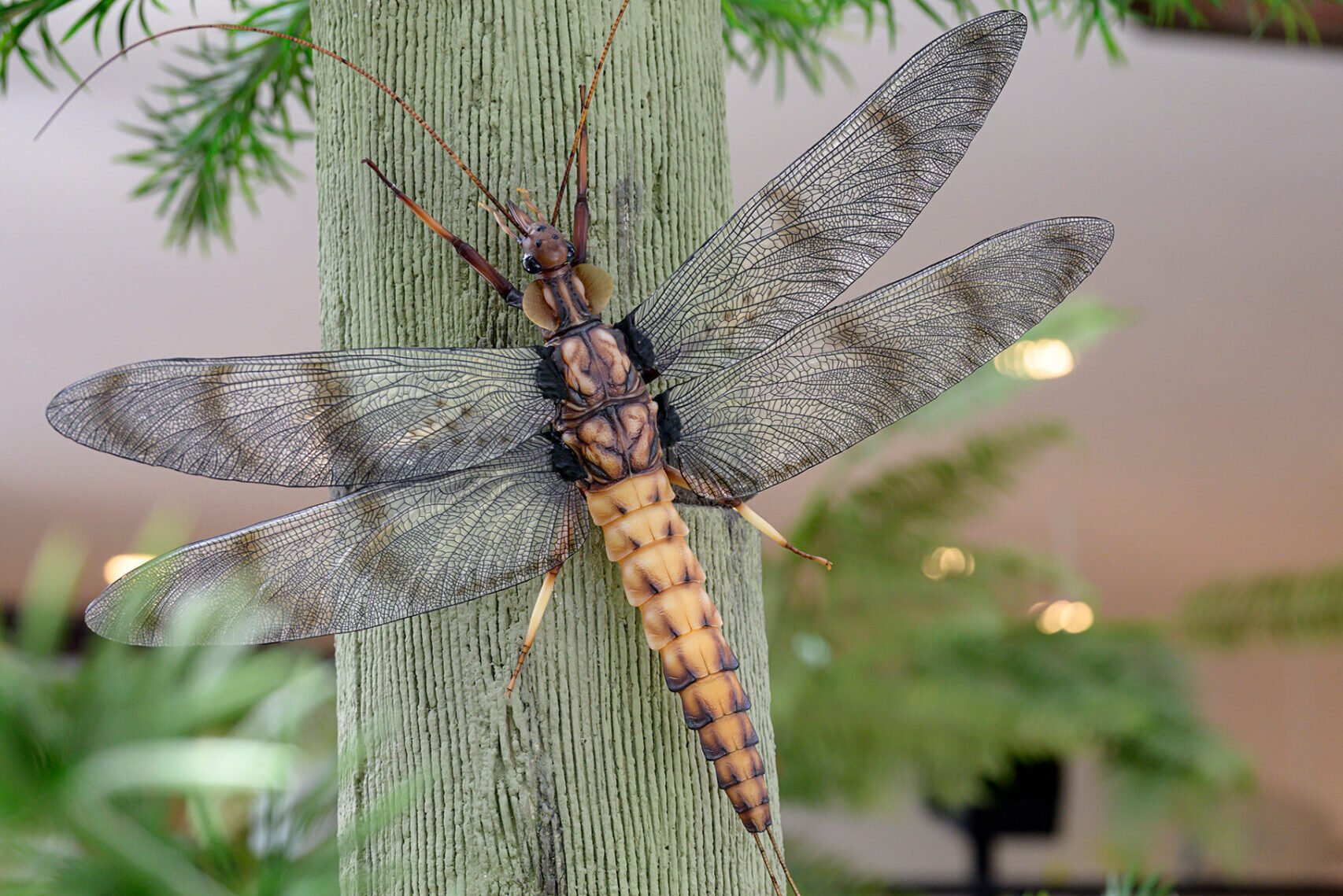 Riesenlibelle aus dem Zeitalter des Karbons im Museum am Schölerberg (c) Hermann Pentermann