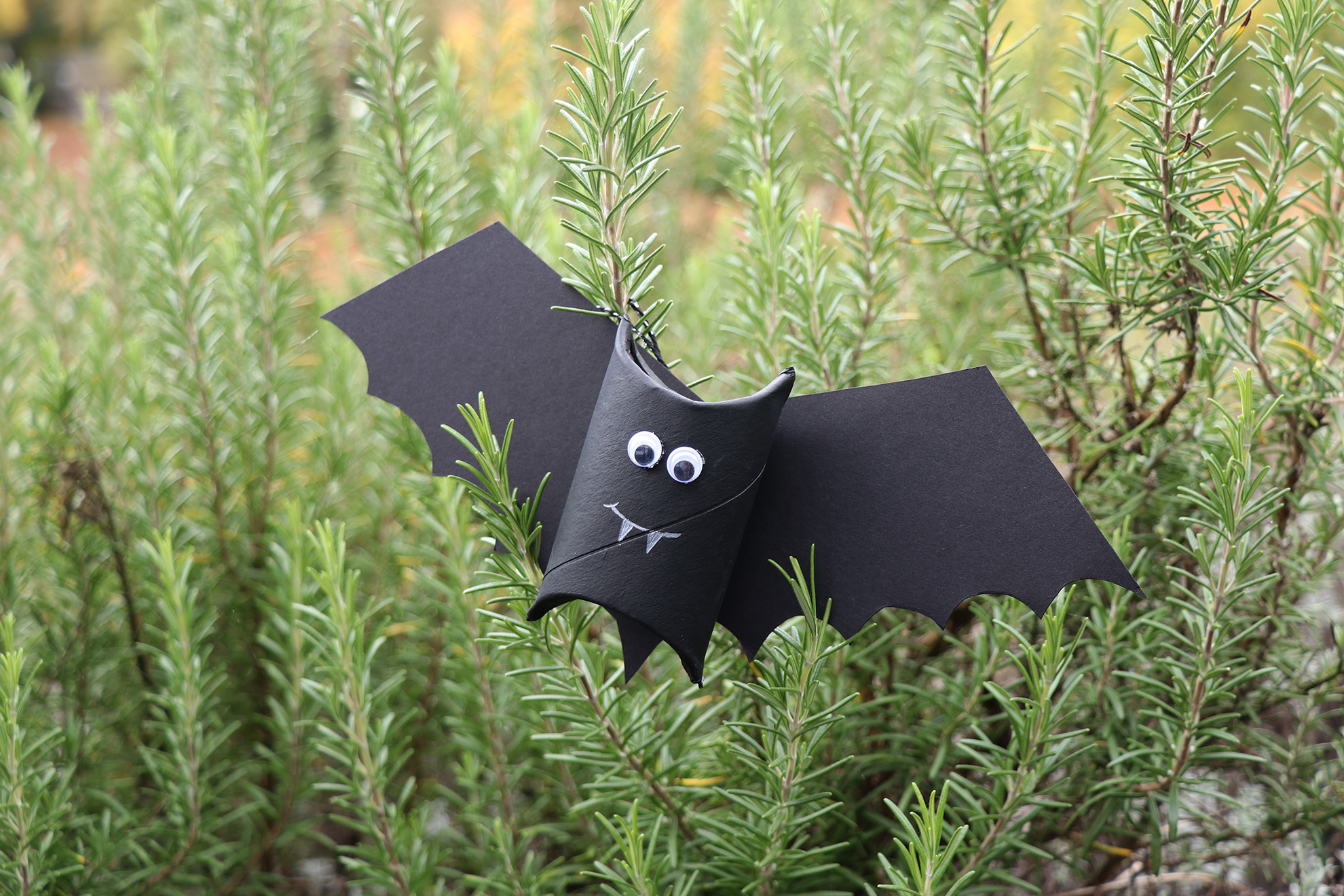 Beim Halloween-Basteln im Museum am Schölerberg werden unter anderem kleine Fledermäuse gebastelt. Foto: Imke Wilxmann